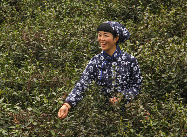 37间房主播跳舞 午夜场
